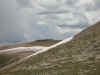 elk.jpg (54649 bytes)